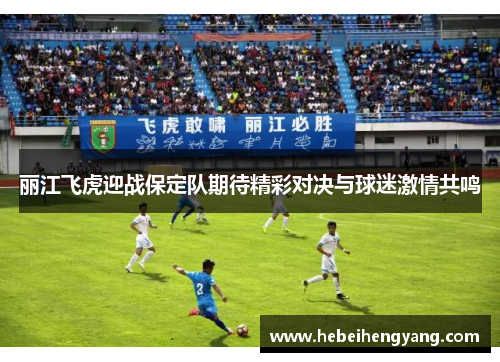 丽江飞虎迎战保定队期待精彩对决与球迷激情共鸣